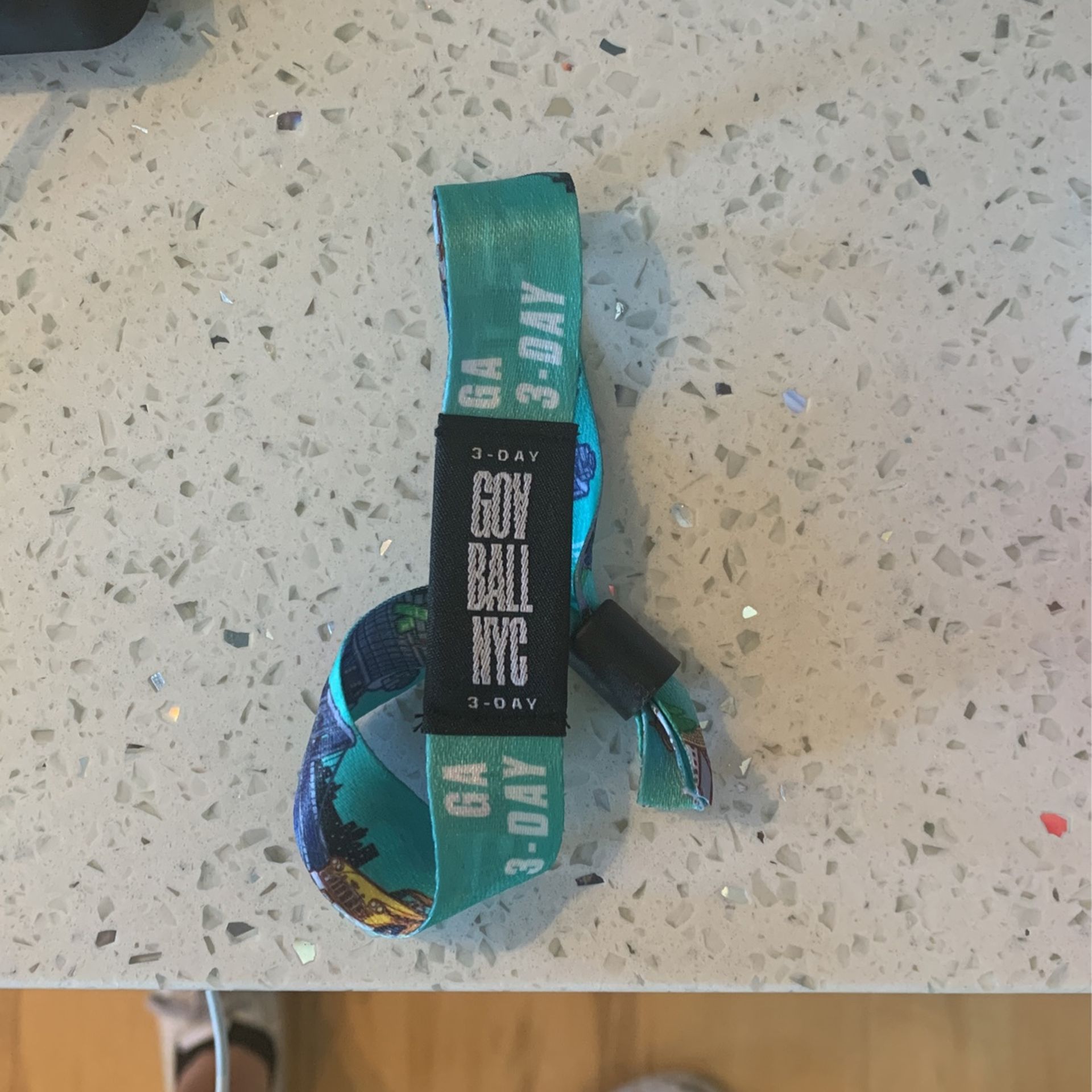 Governors’s Ball Ticket