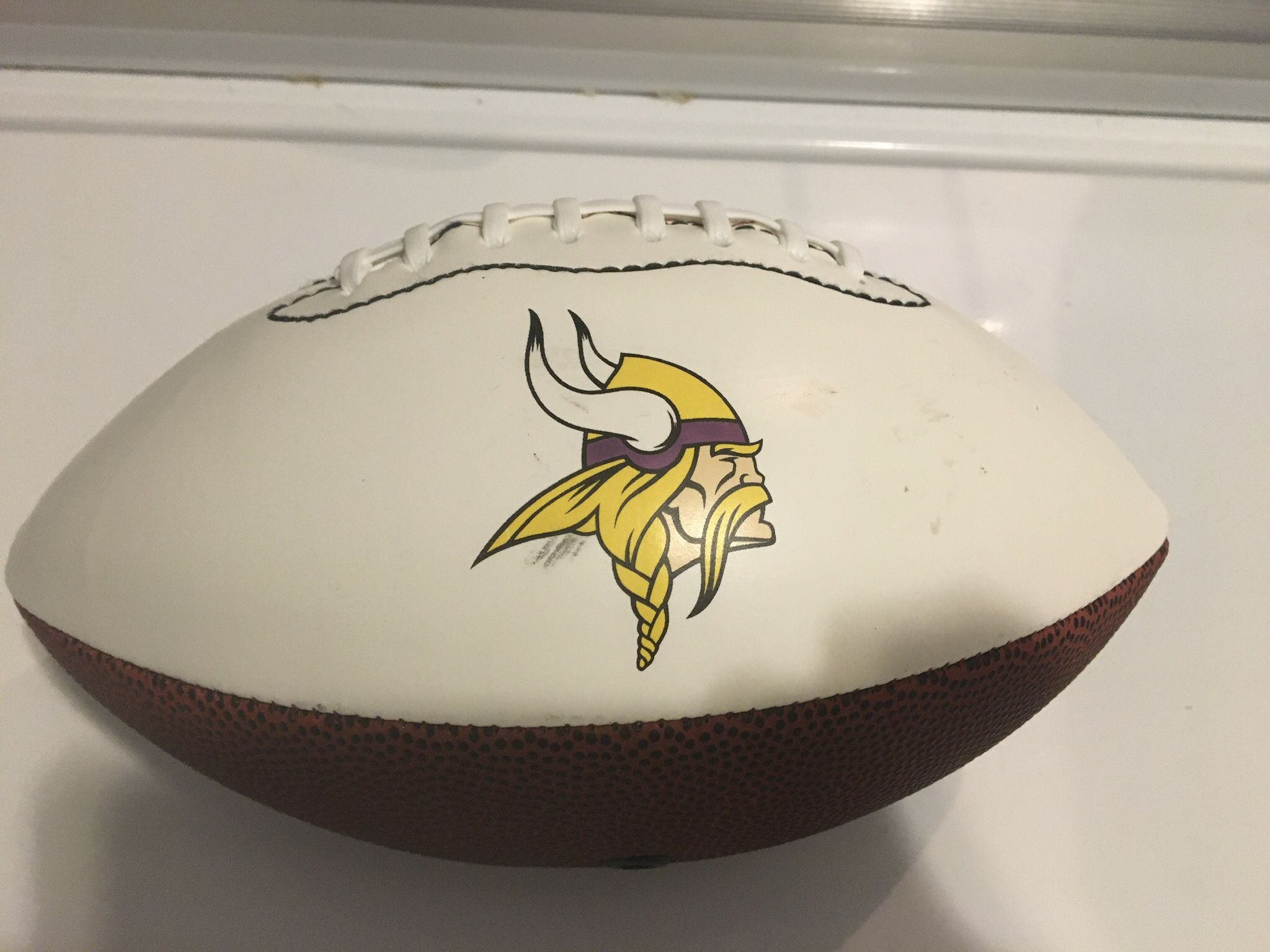 MINNESOTA VIKINGS