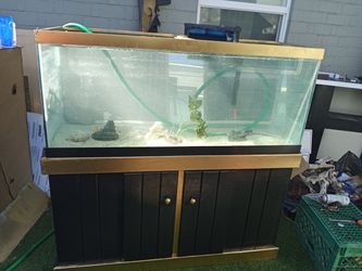 75 Gallon Custom Fish Tank Aquarium And Stand Thumbnail