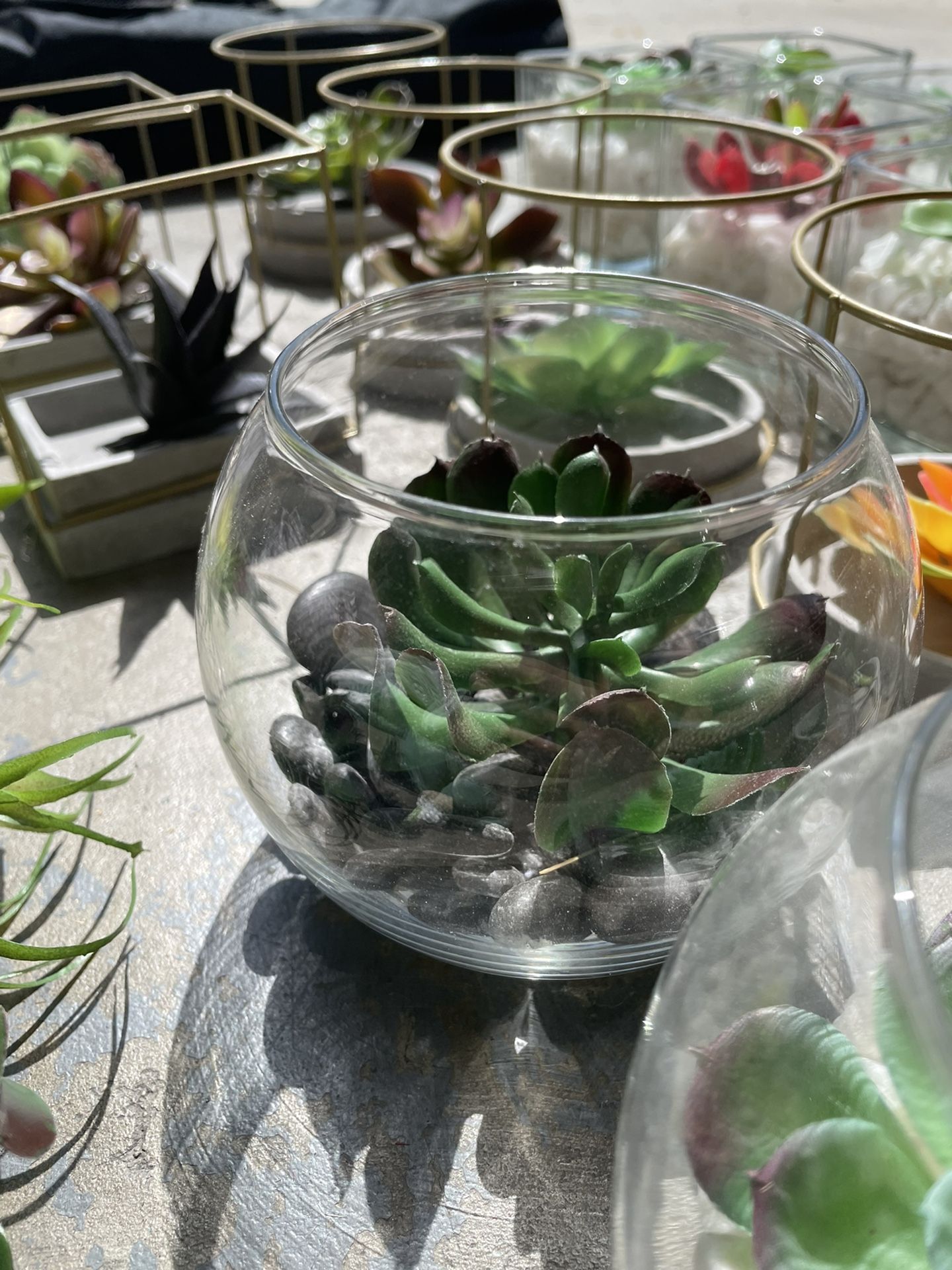 Faux Succulent Centerpieces/decor