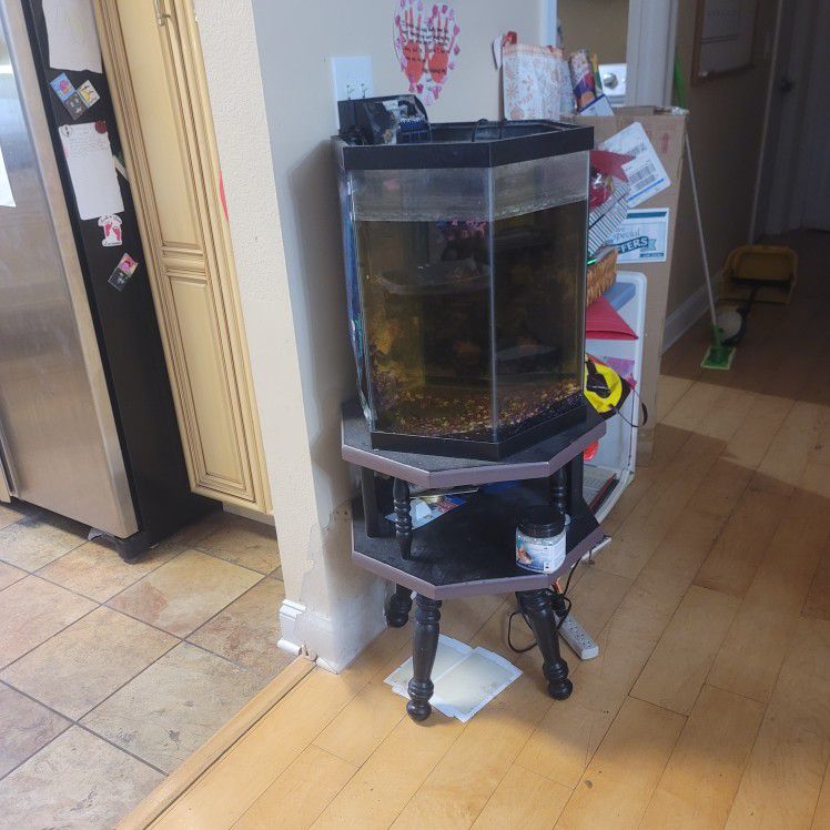 25 Gallon Fish Tank And Stand With Water Heater