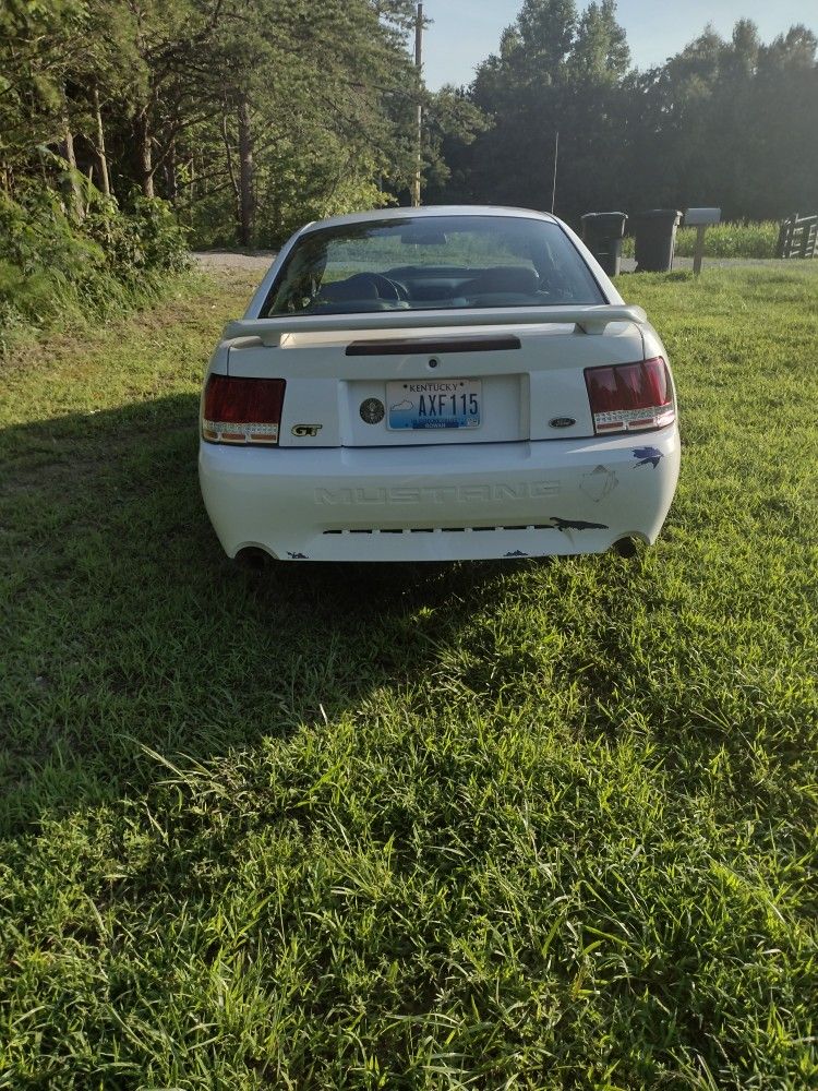 2004 Ford Mustang