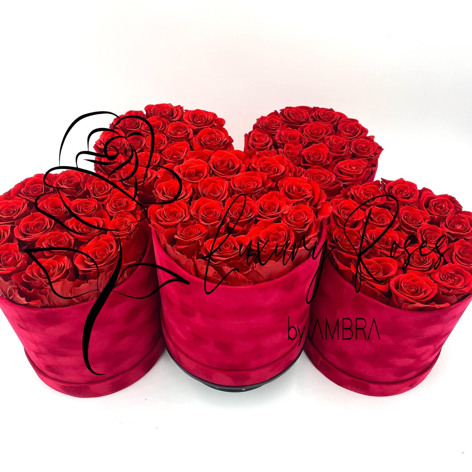 Red roses red velvet Box Eternal Box Roses bucket bouquet Gift Real Preserved Flowers Anniversary Birthday Present Luxury immortal roses