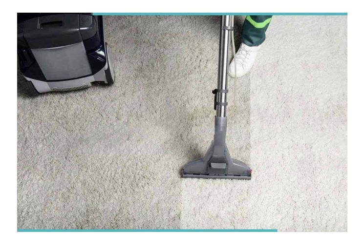 Carpet Upholstery And Sofa Cleaner MorsaWash