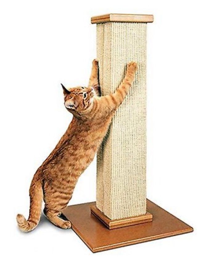 Cat Scratching Post for Sale in Cleveland, OH OfferUp