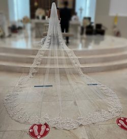 Wedding Dress and Veil Thumbnail