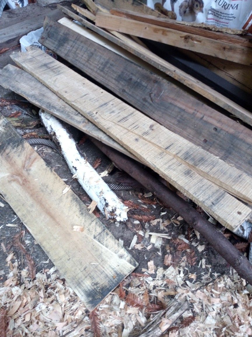 Bonfire Wood