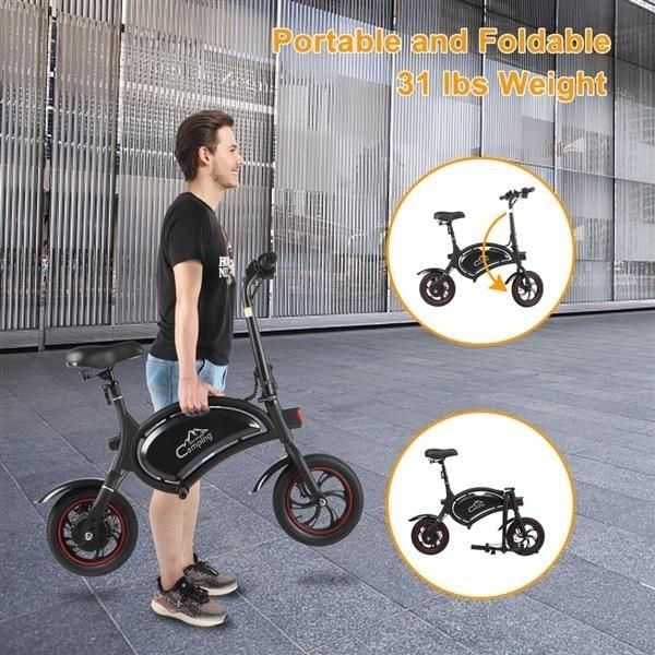 Folding Electric Bike, with 250W Motor and 6 Ah Lithium Battery