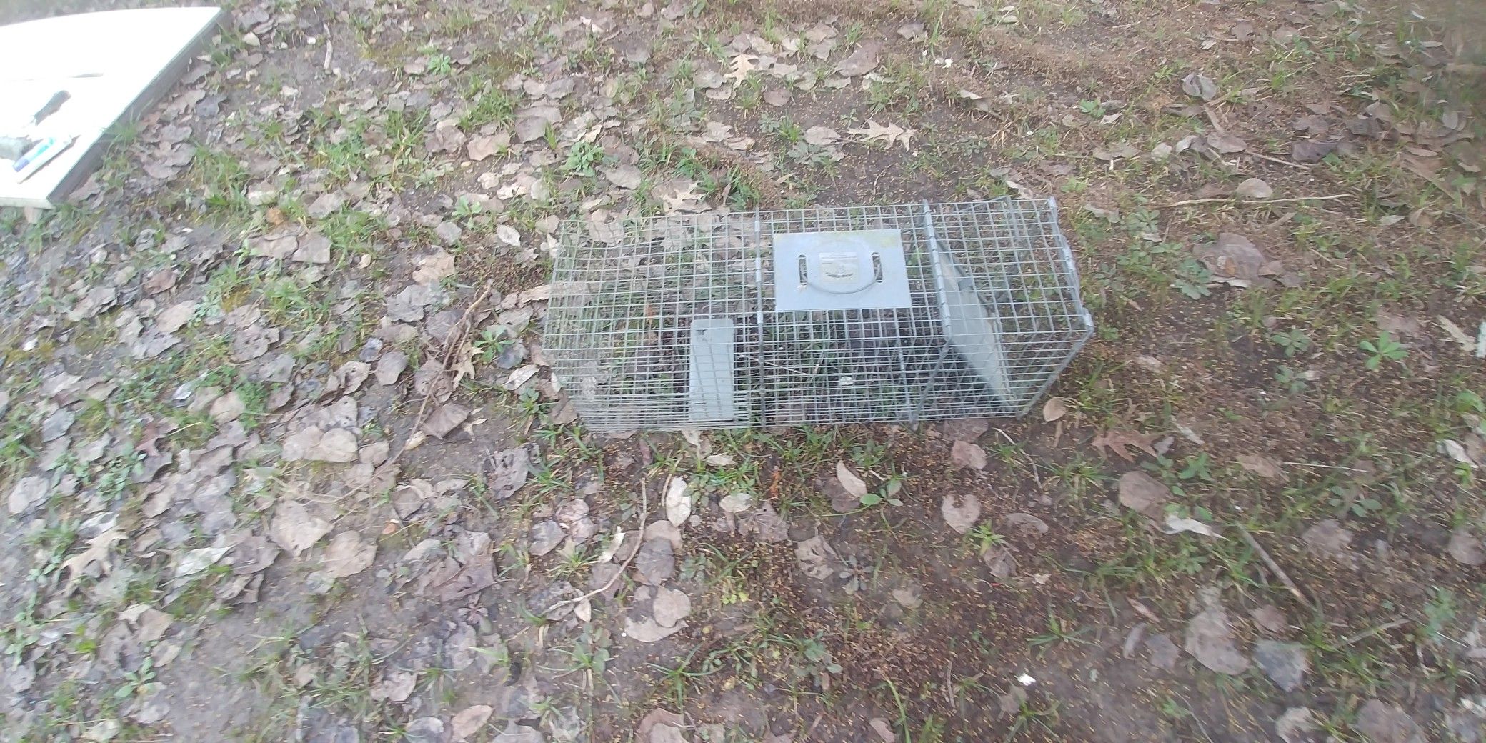 Small animal trap
