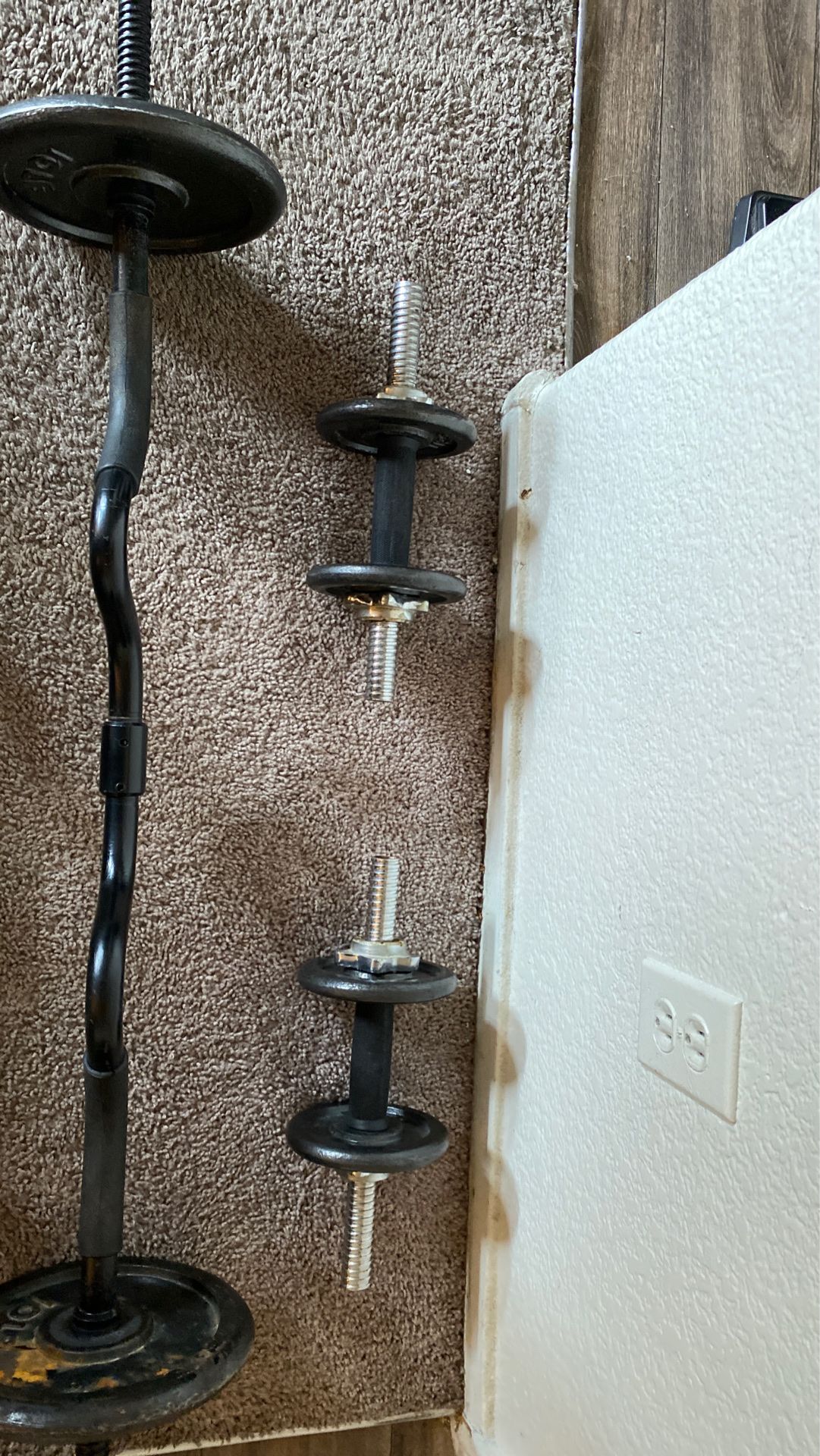 Weights 2 dumbbells 1 curl bar and 30 pounds in weights and a pull-up bar and push up