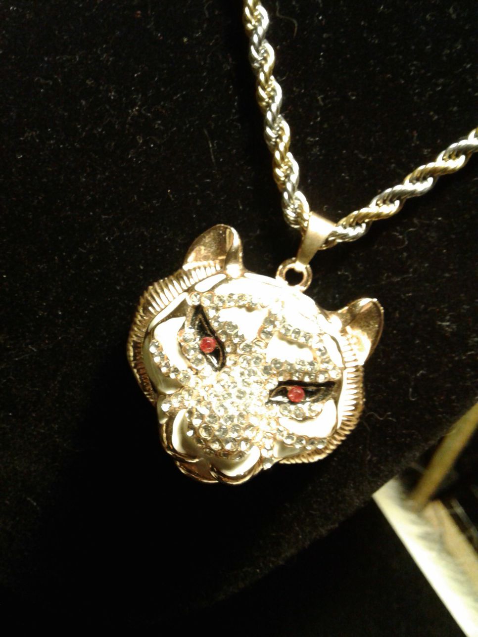 Tiger Pendant on a Gold/Silver Stainless Steel Rope. 22$