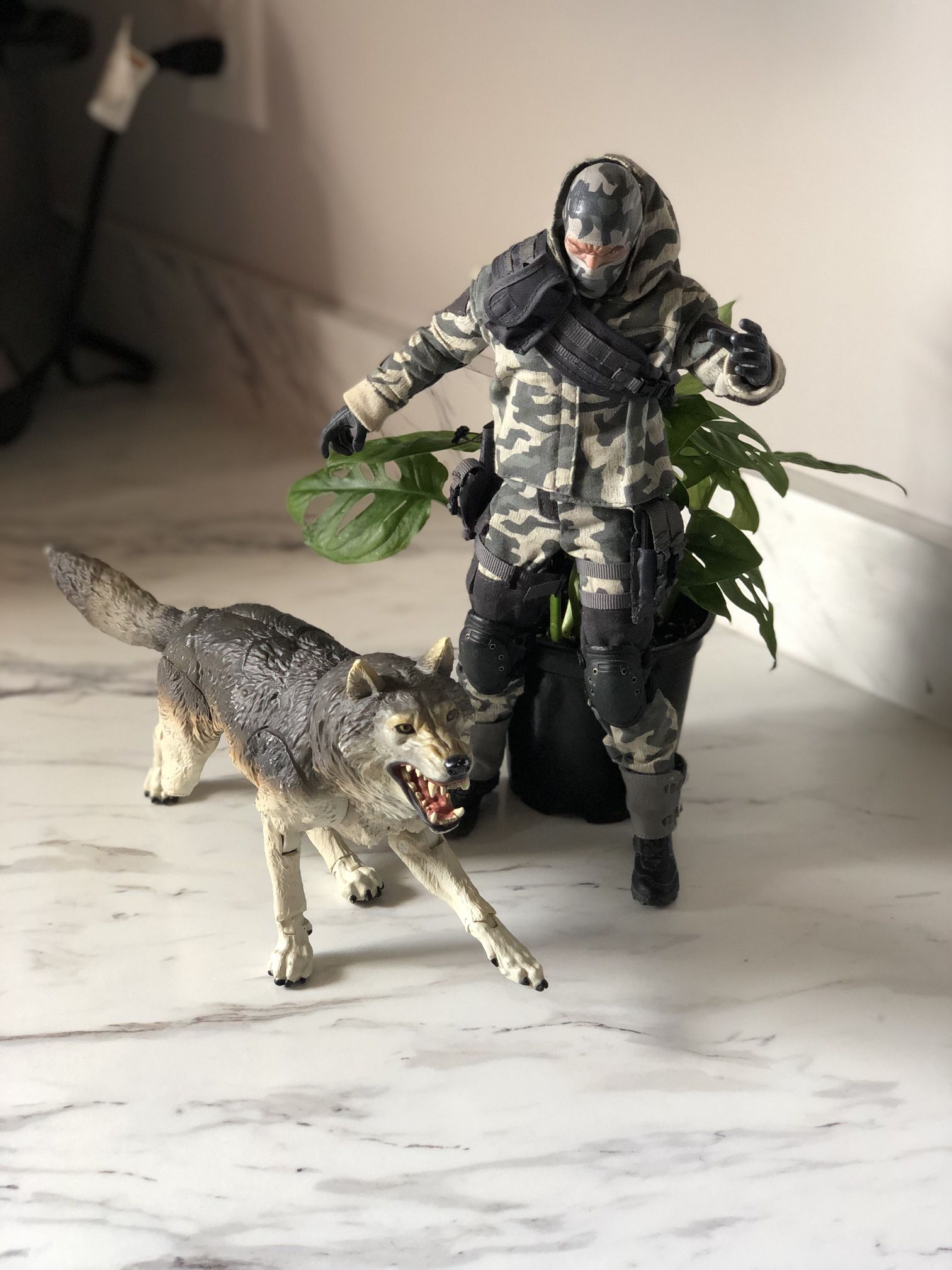 Sideshow Collectibles Exclusive 1/6 Scale Snake Eyes Timer Wolf Action Figure 