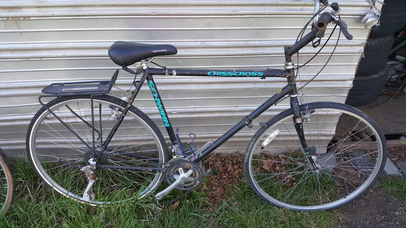 schwinn crisscross value