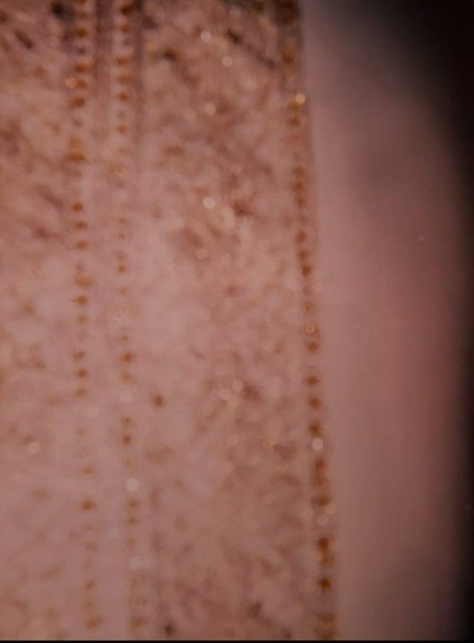Gorgeous Beige And Gold Wedding Dress