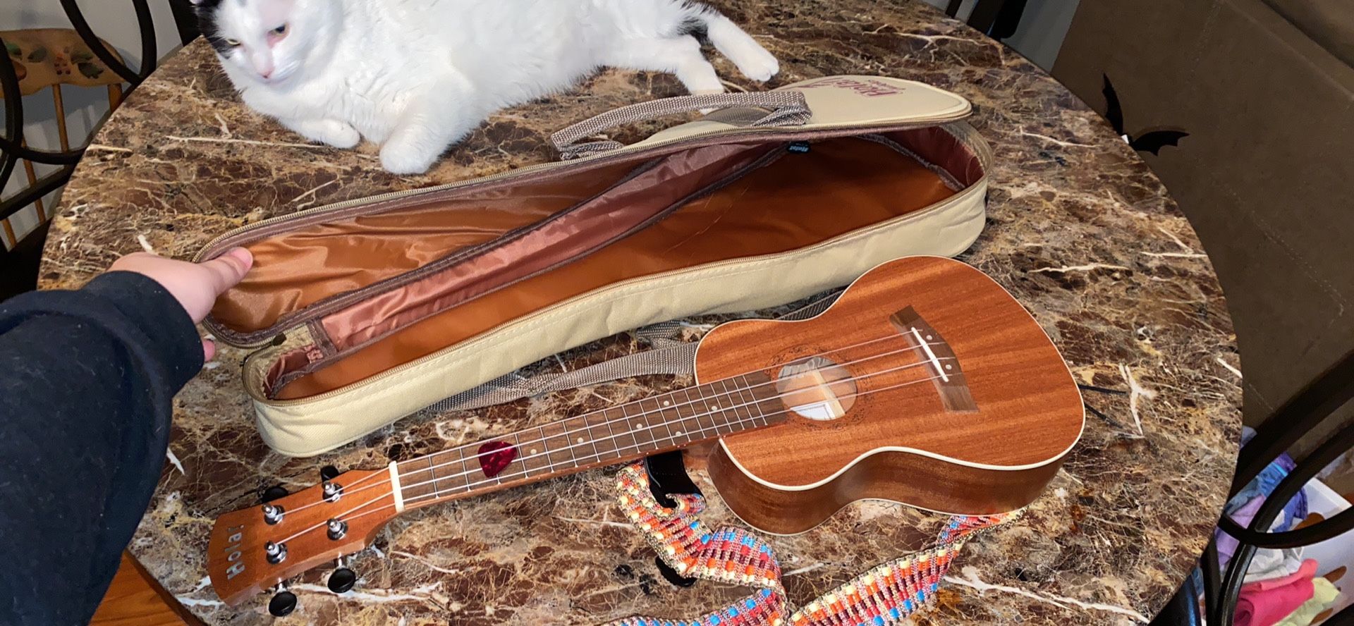 Concert Ukulele