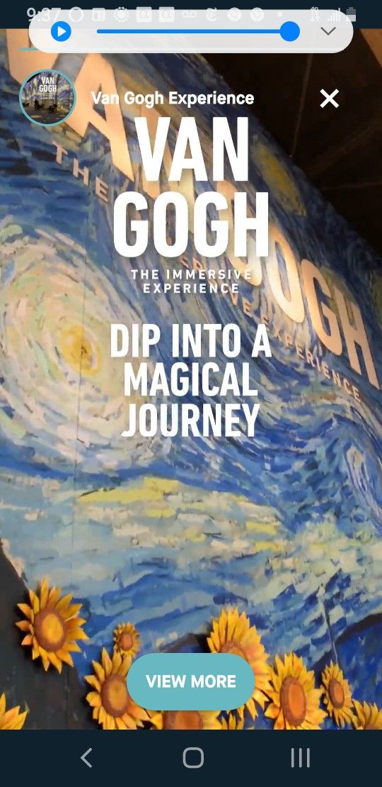 Van Gogh VIP Tickets! 4 Tickets For NOV 7th. Also Will Sell In Sets Of 2