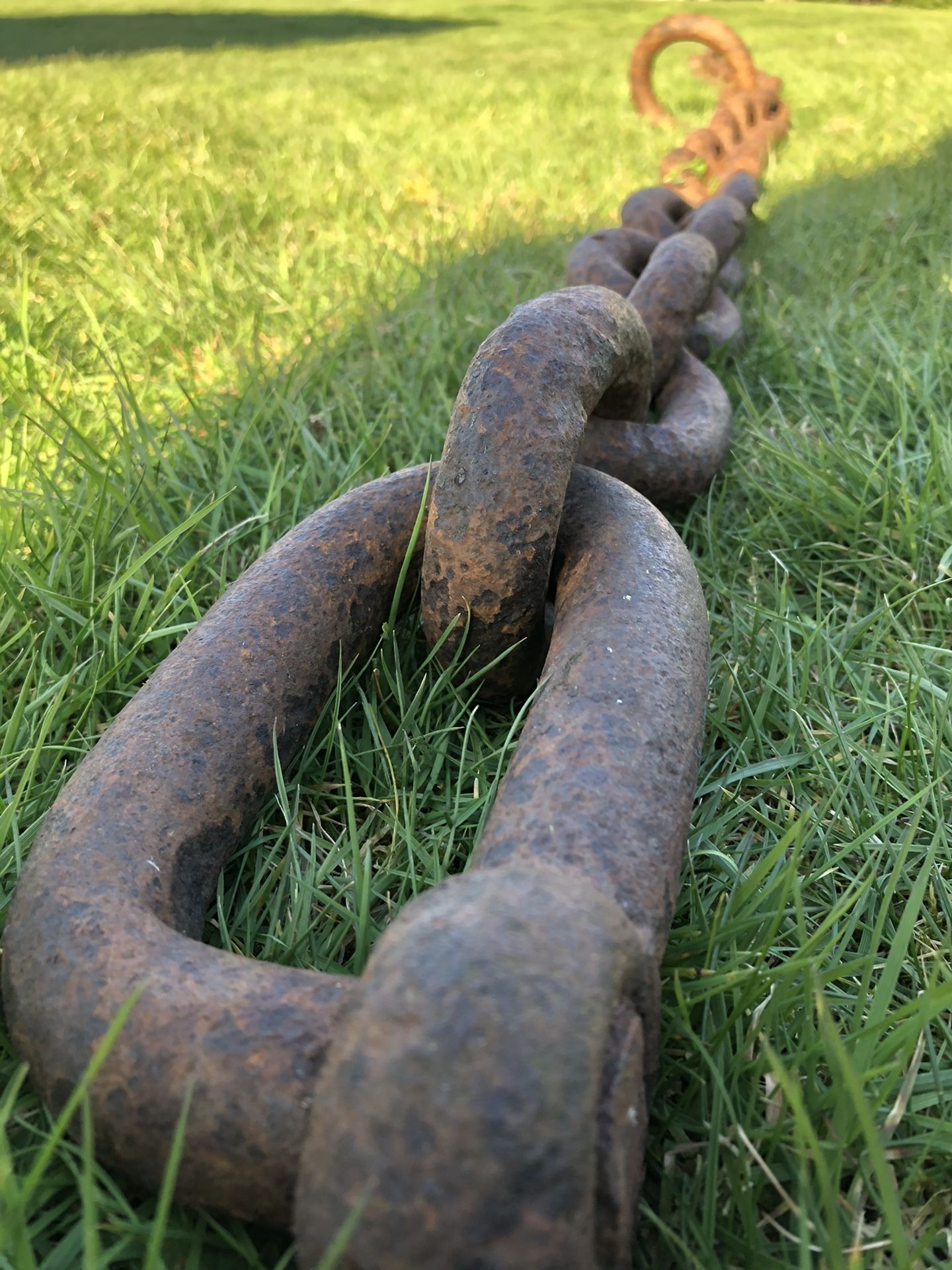 Huge Loggers Chain