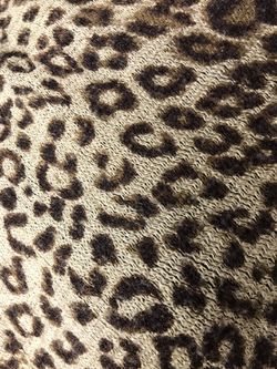 Women’s New York & Company Soft Cheetah Print Poncho/ Shawl Thumbnail