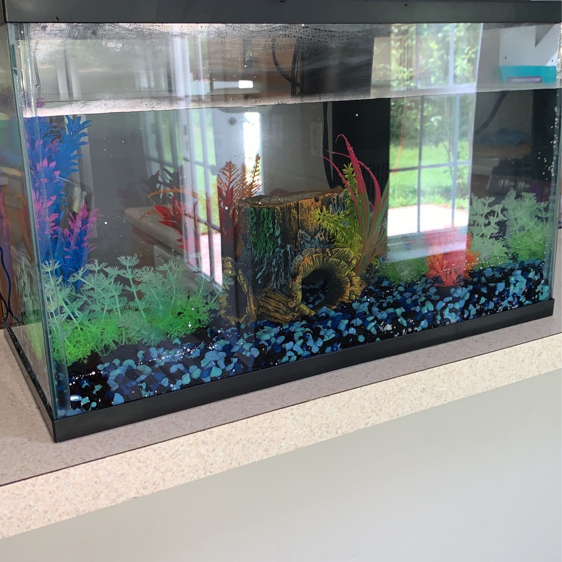 Fish Tank