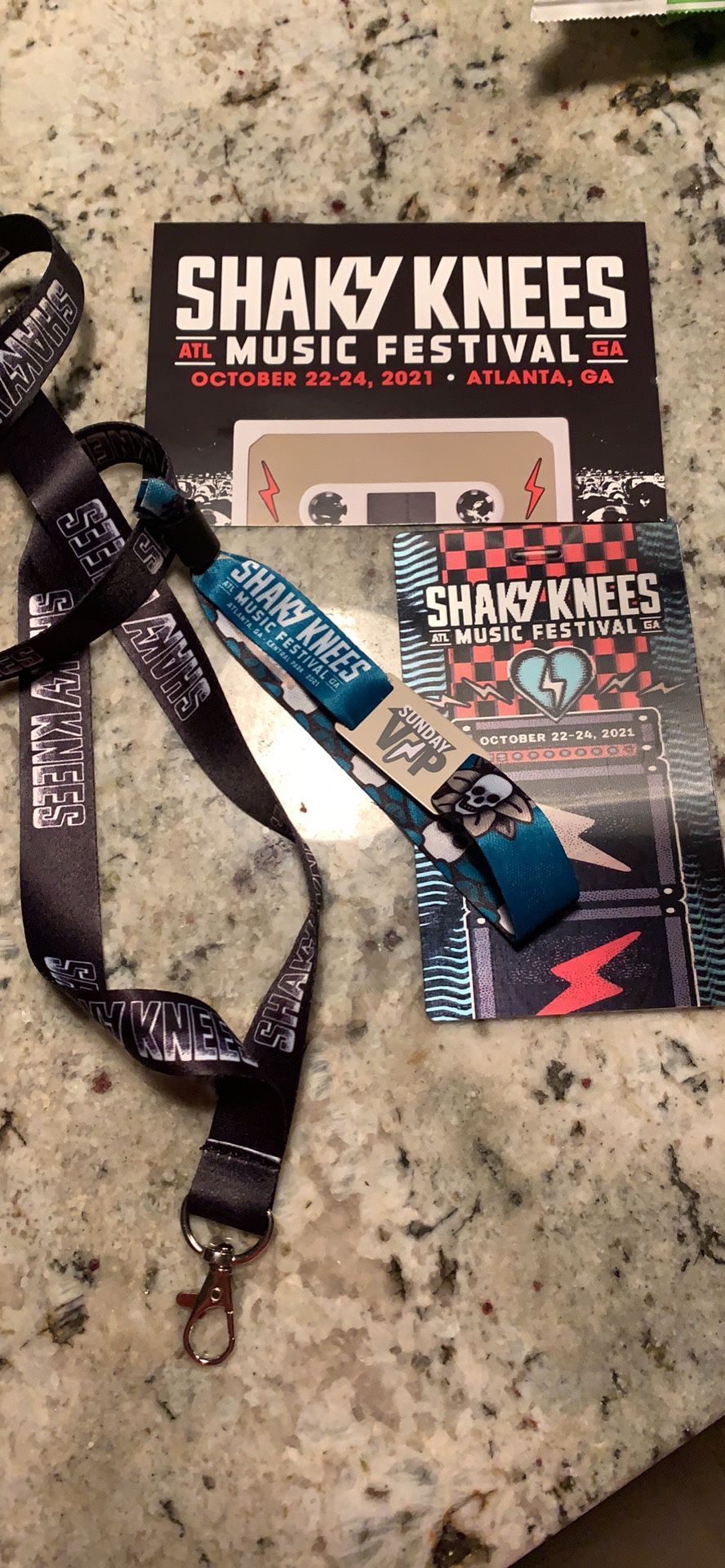 VIP one day ticket Shaky Knees 