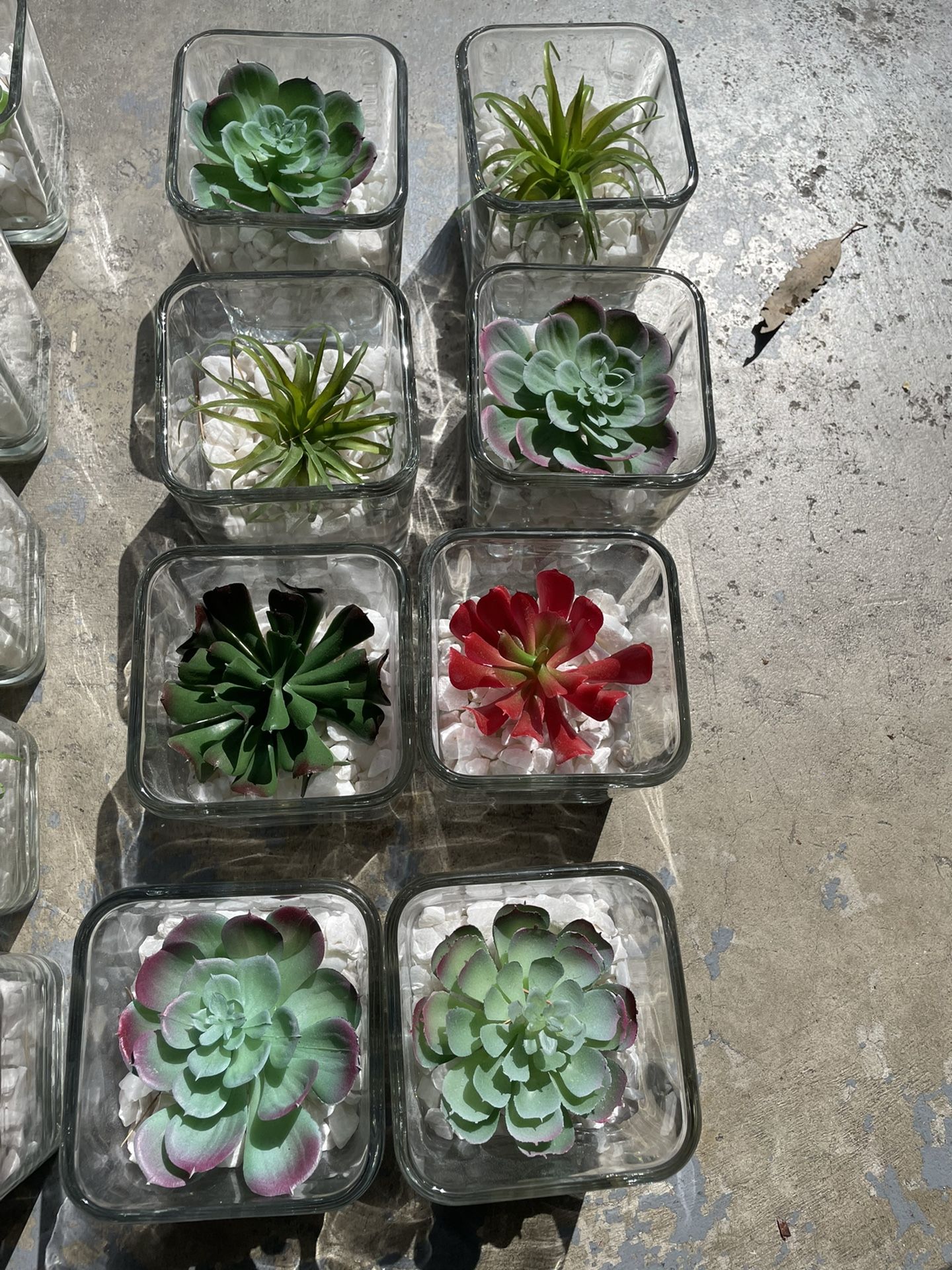 Faux Succulent Centerpieces/decor