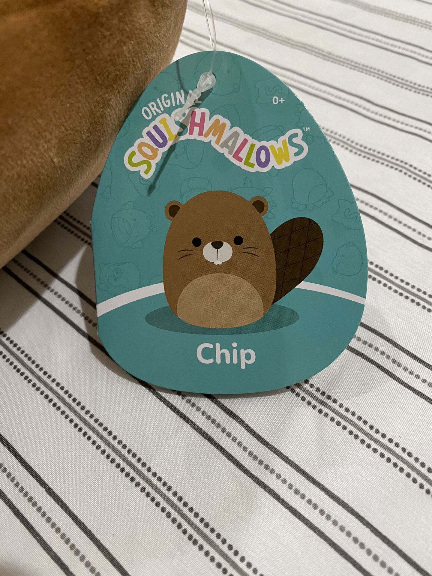 Squishmallow - 8 Inch - Chip