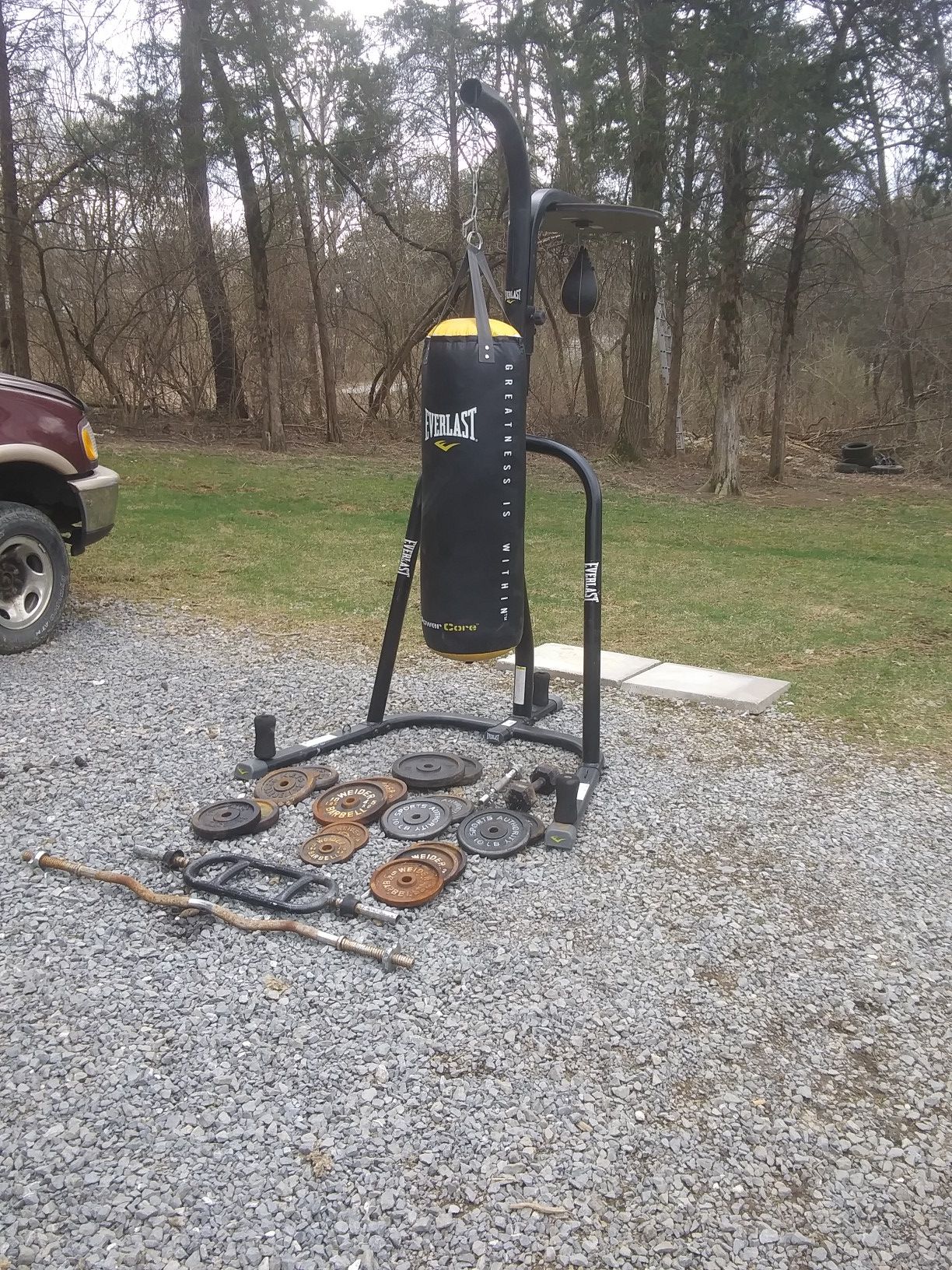 Everlast heavy bag and speed bag And double stand