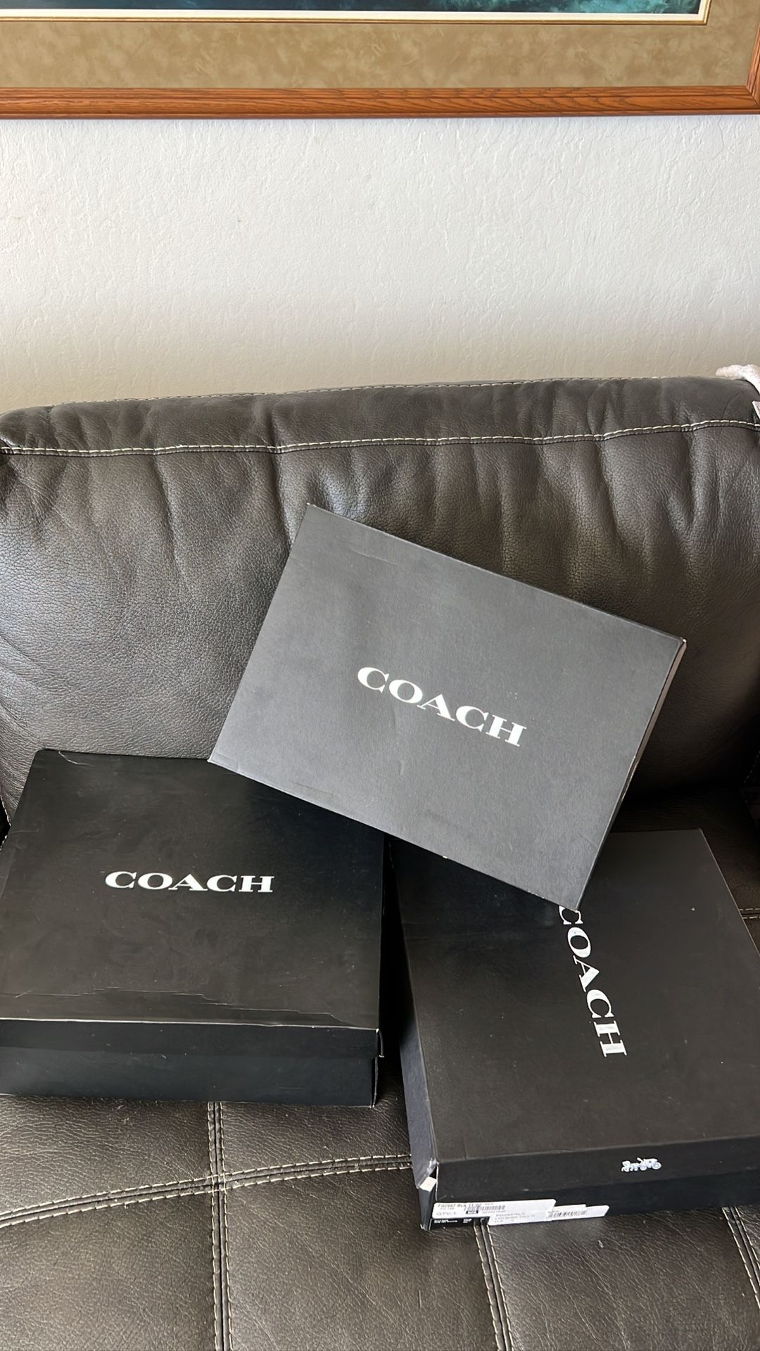 Coach boots