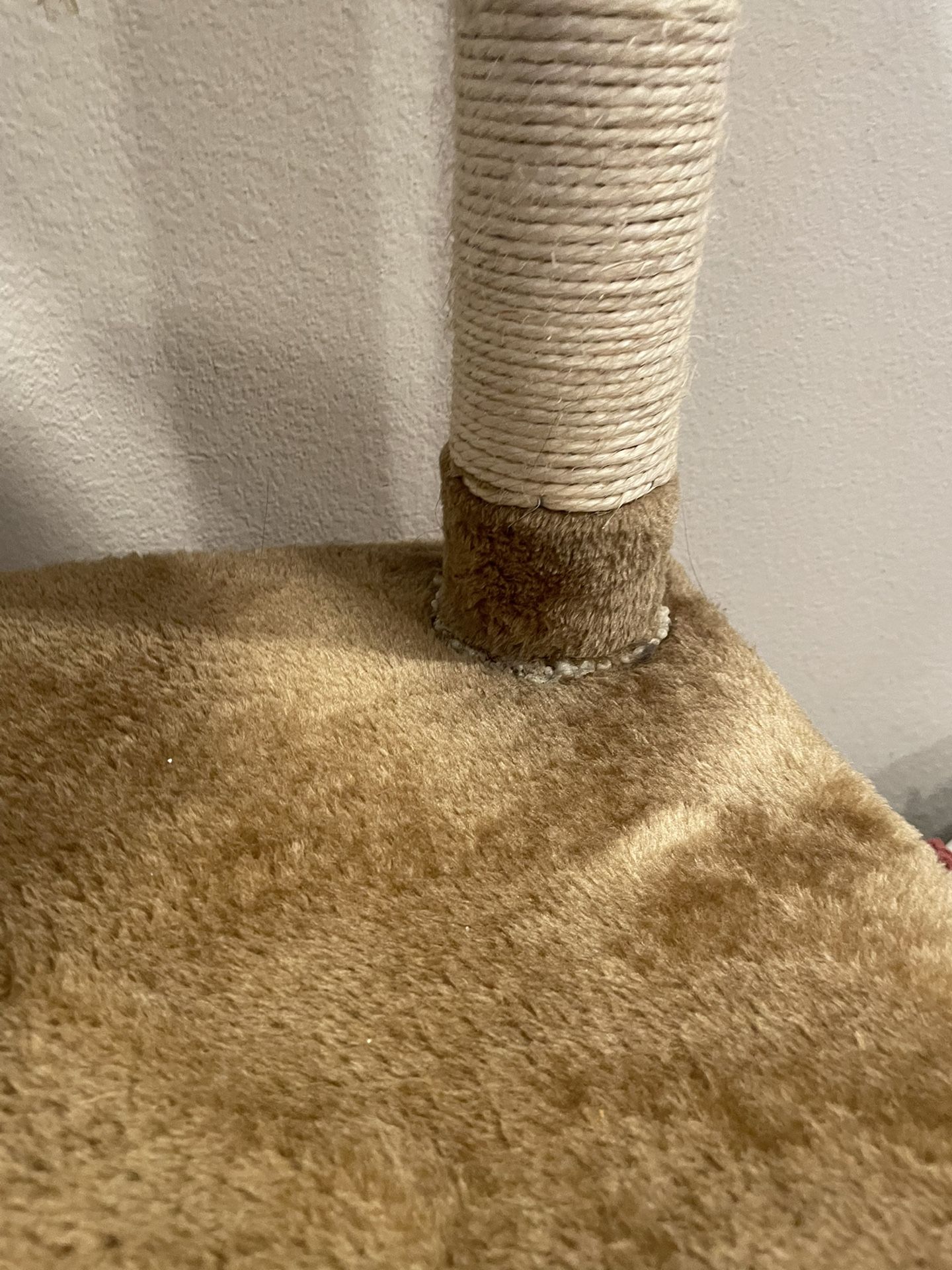 Cat Tower