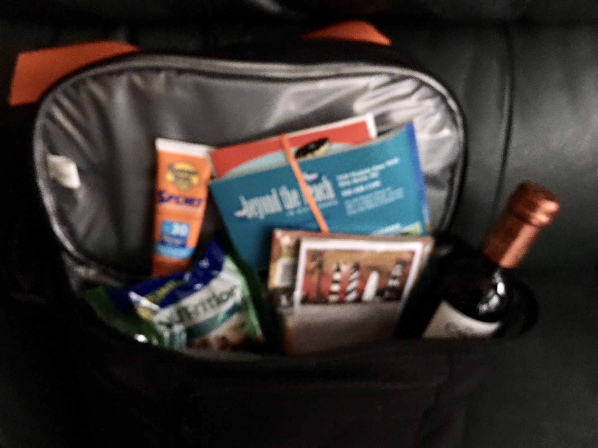 10 Insulated Picnic Bags