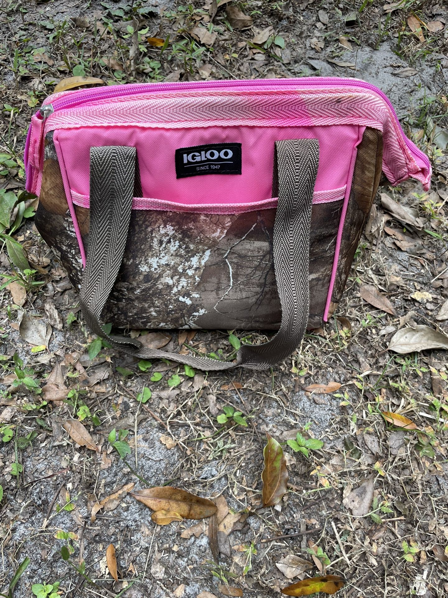 Igloo Cooler Bag