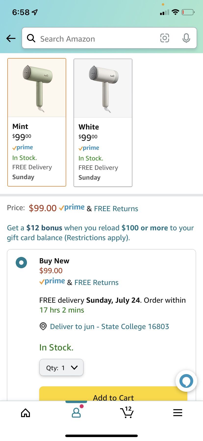 Handheld Steamer