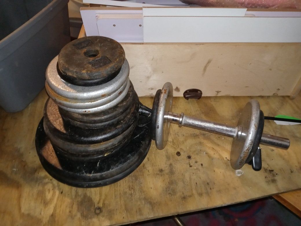 Olympic Steel Weights 2 Dumbbells