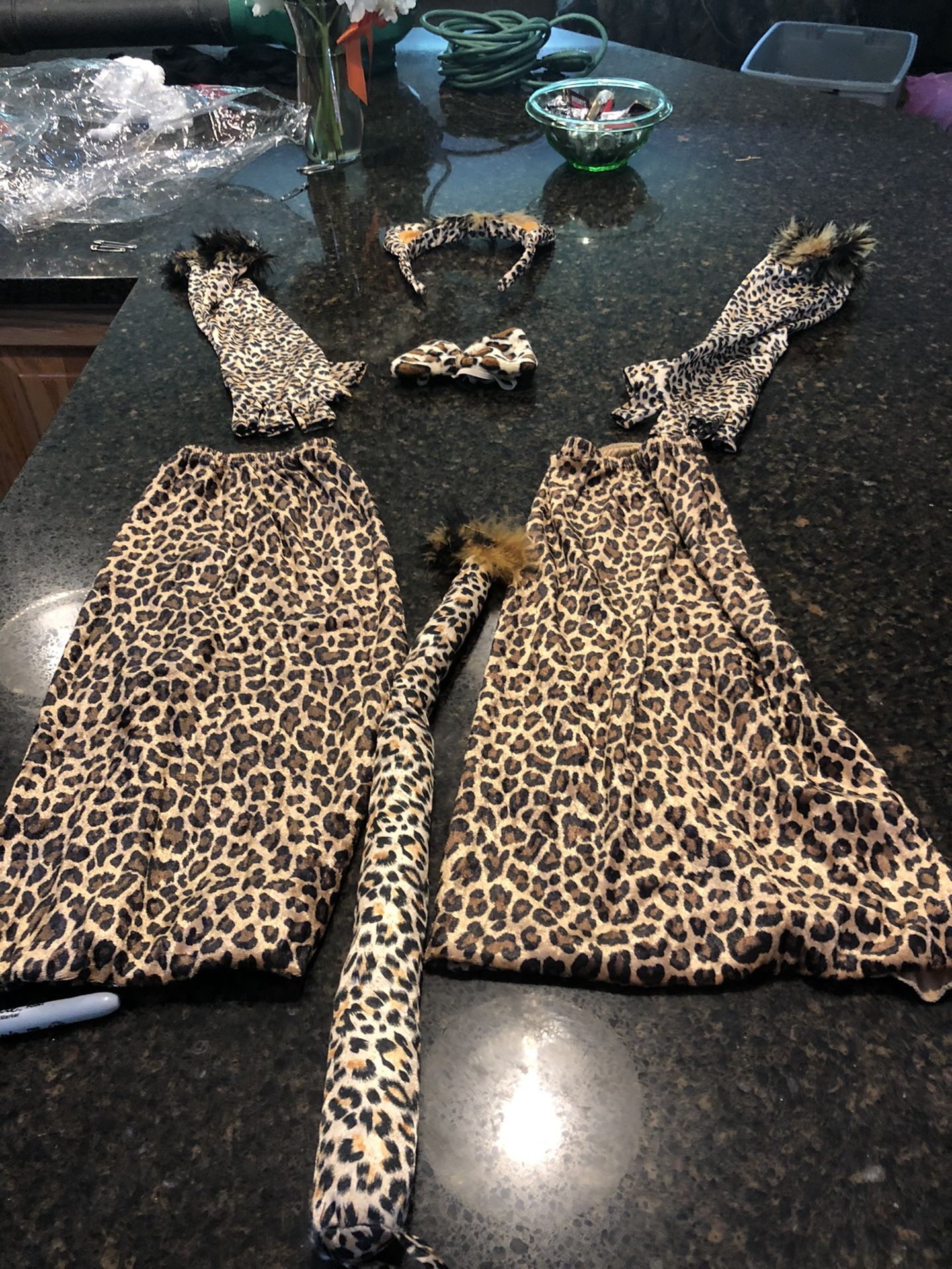 Halloween costume
