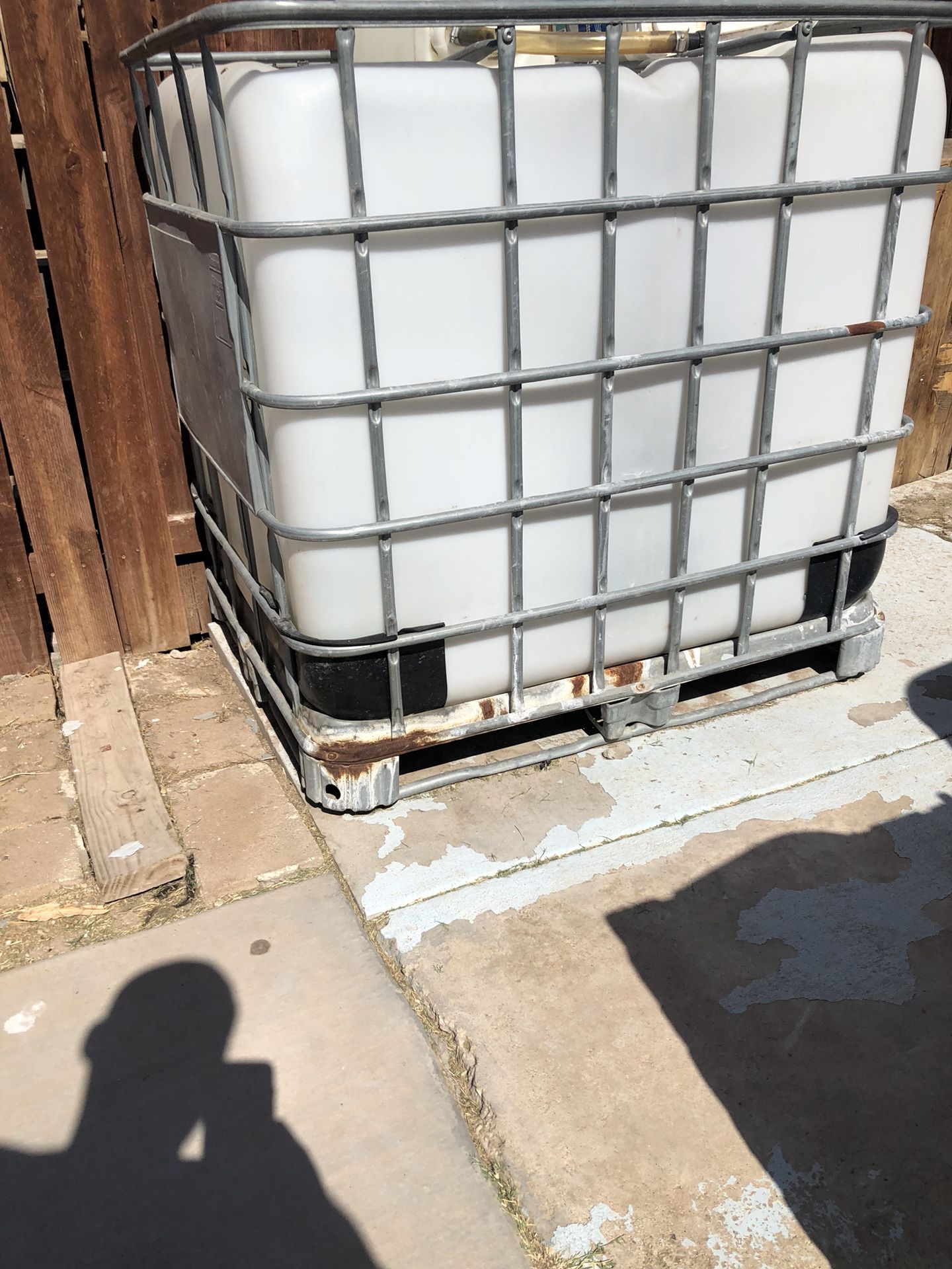 Water tank for bait fish