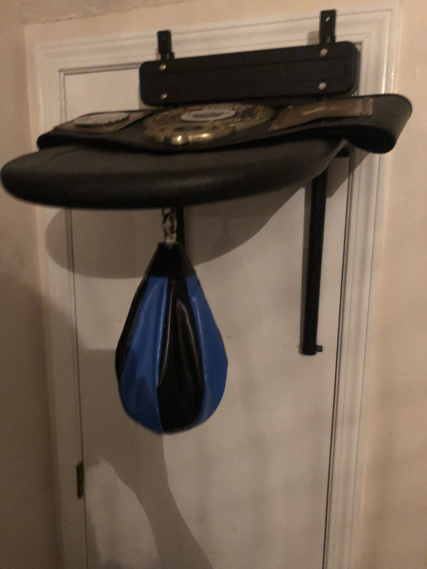 Speed bag