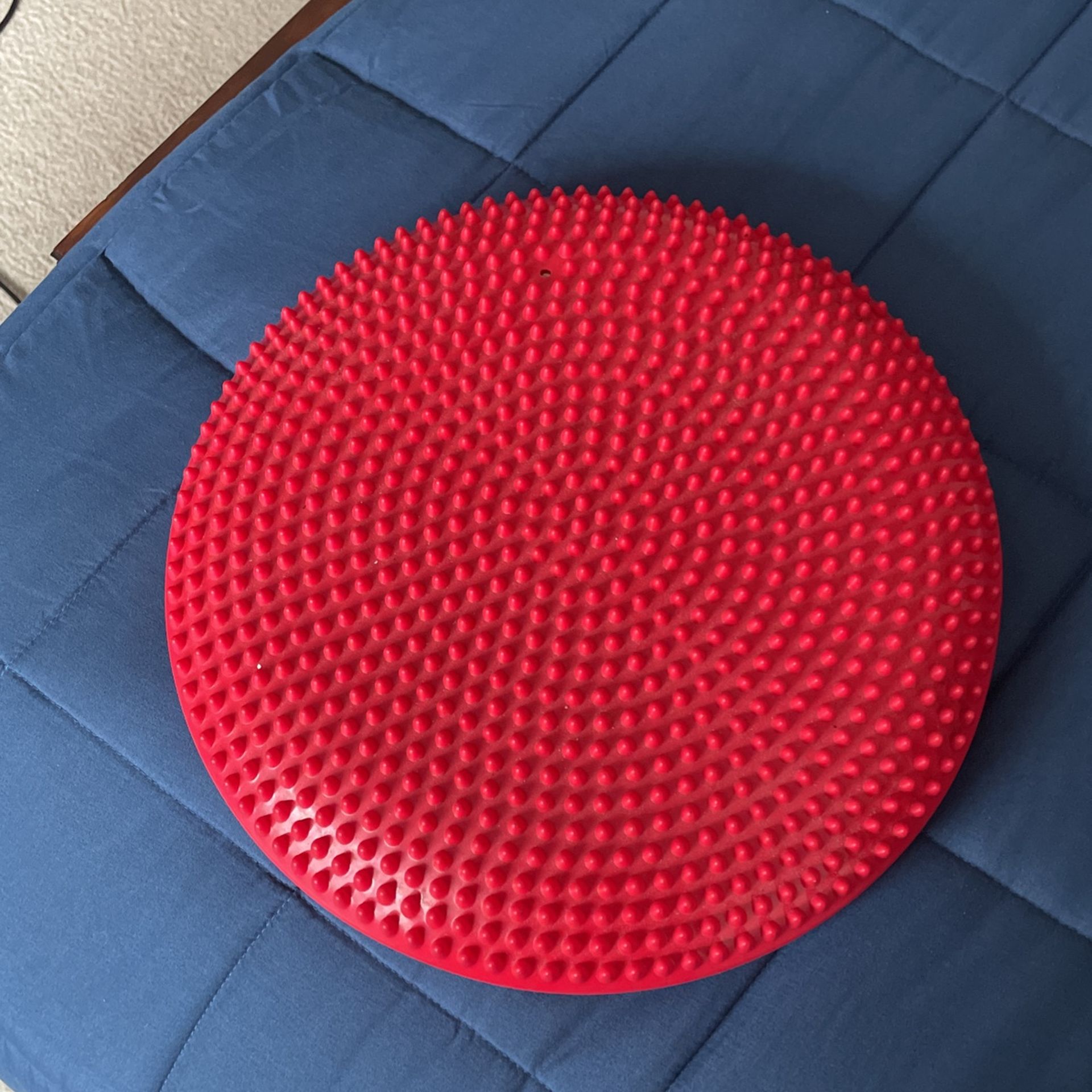 Wiggle Seat Sensory Chair