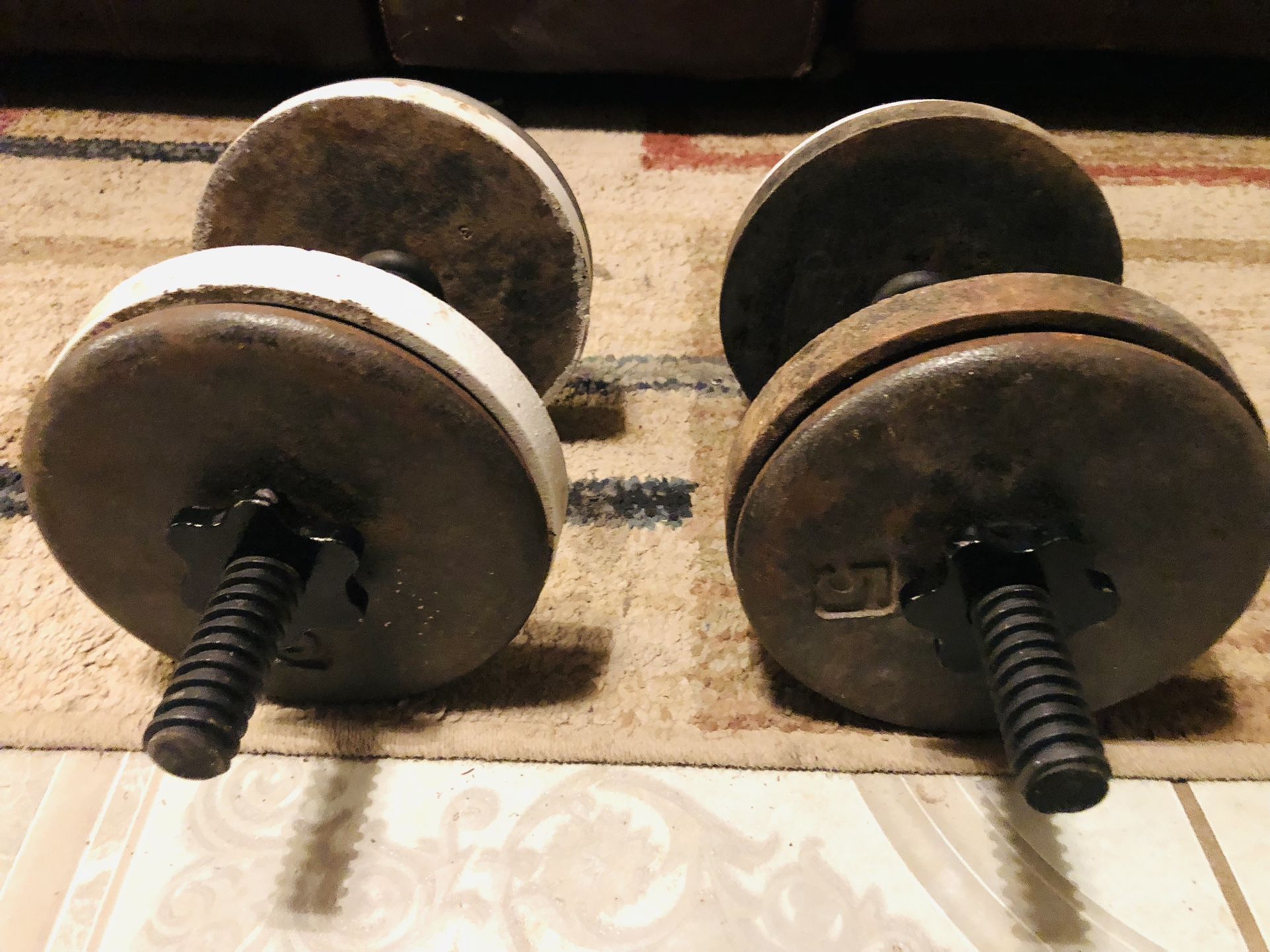 All (2)25lb., (2) 10lb., & (14) 5lb. Weights with Curl Bar & Dumbbells 💪 $240 OBO