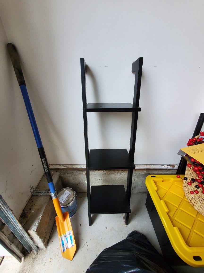 Ladder Shelf