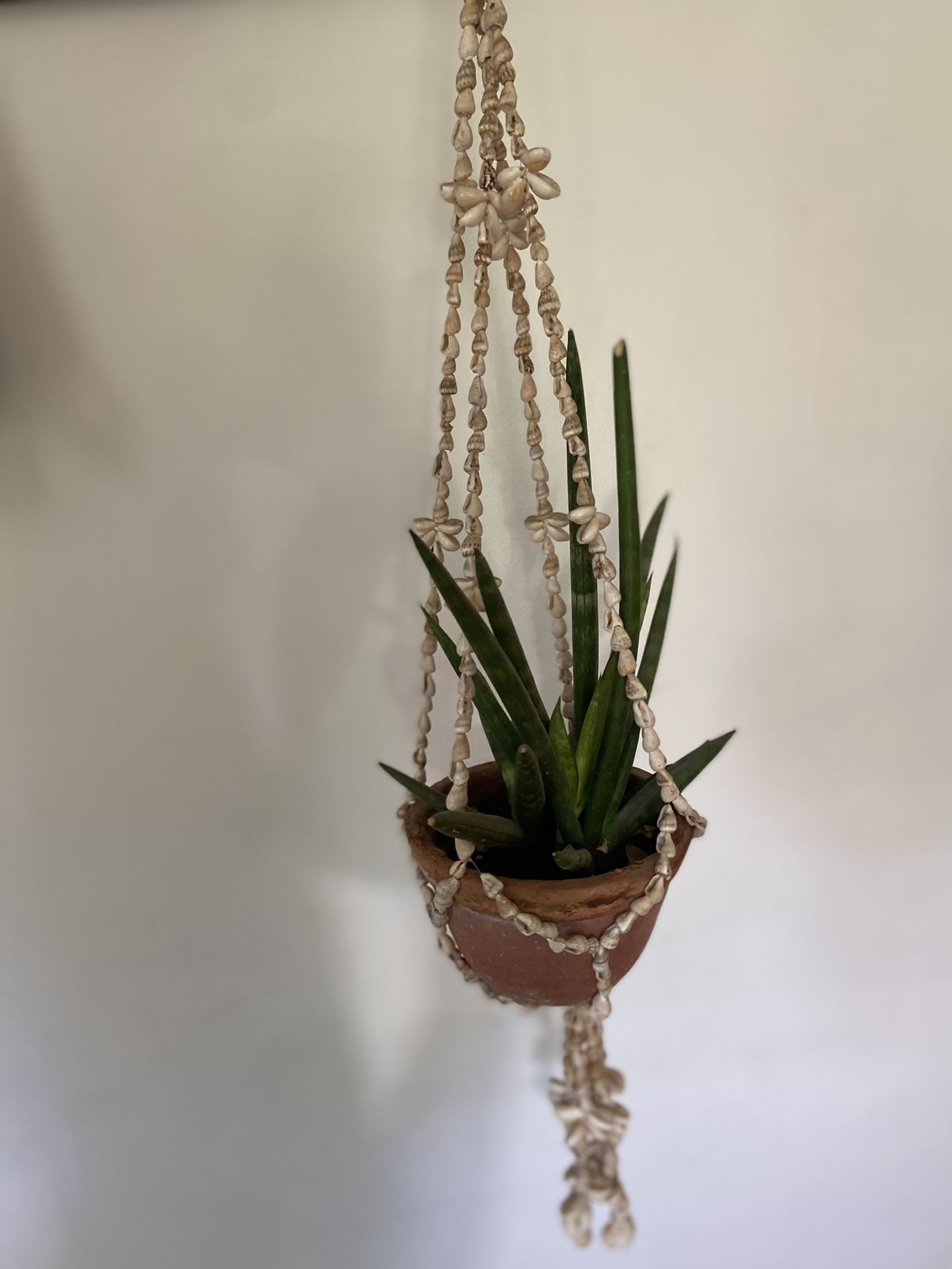 Vintage Seashell Hanging Planter