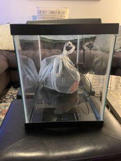 10 Gallon Aqueon Fish Tank - Cleaned For Pick-Up :) Thumbnail