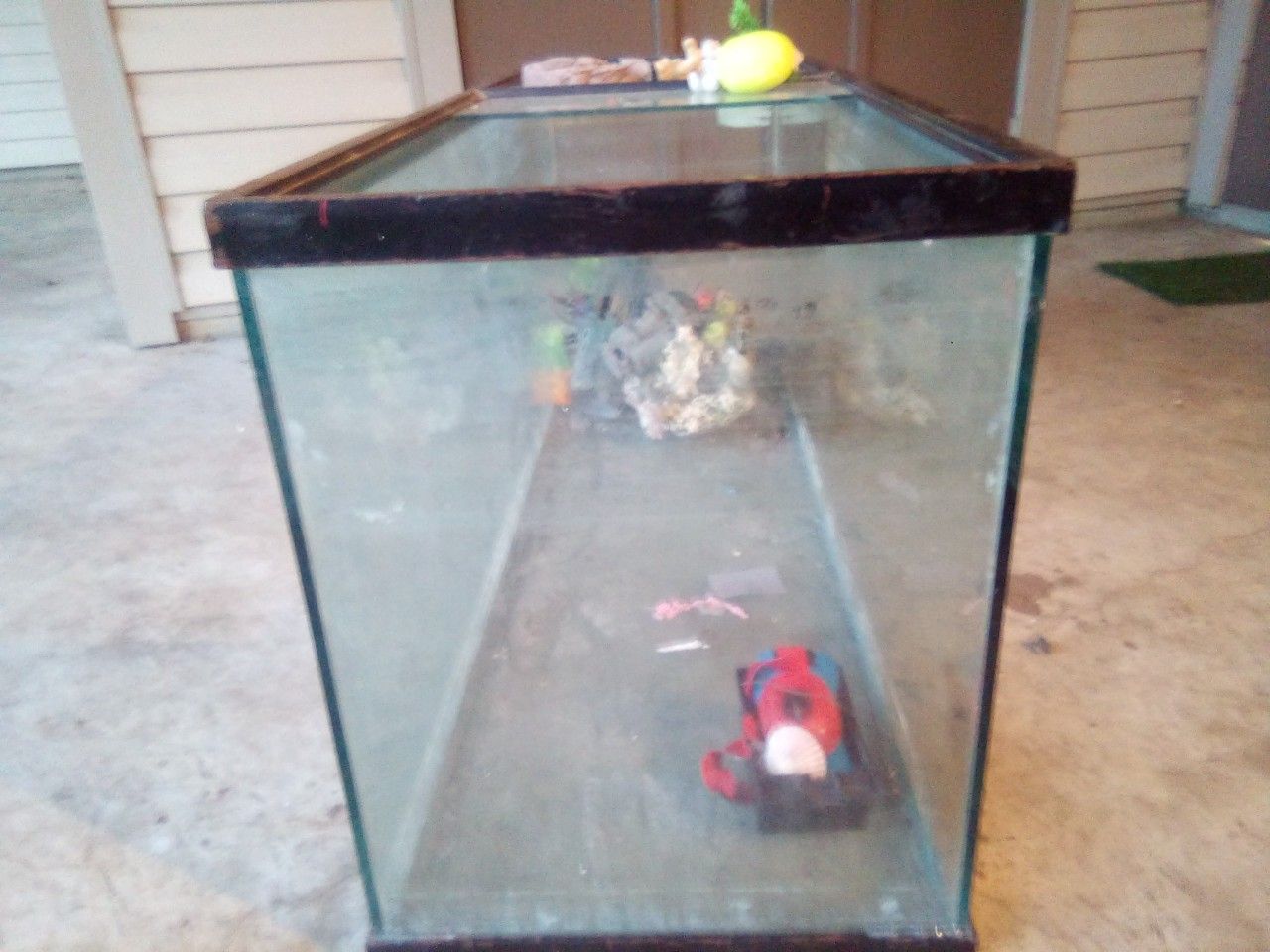 100 gallon aquarium .w)some rock and decoration
