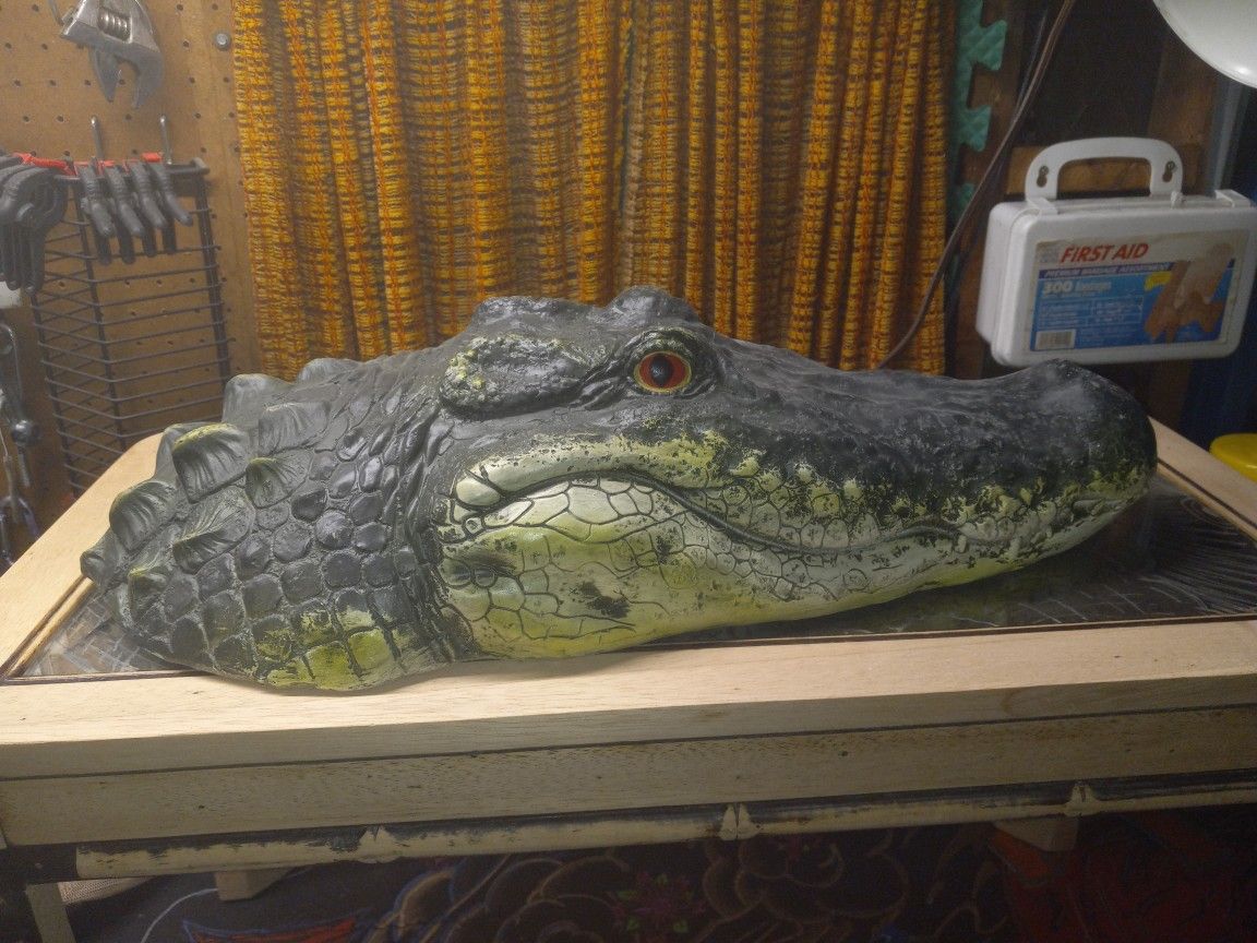 Gator Head