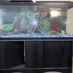55 Gallon Fish Tank With Stand Thumbnail