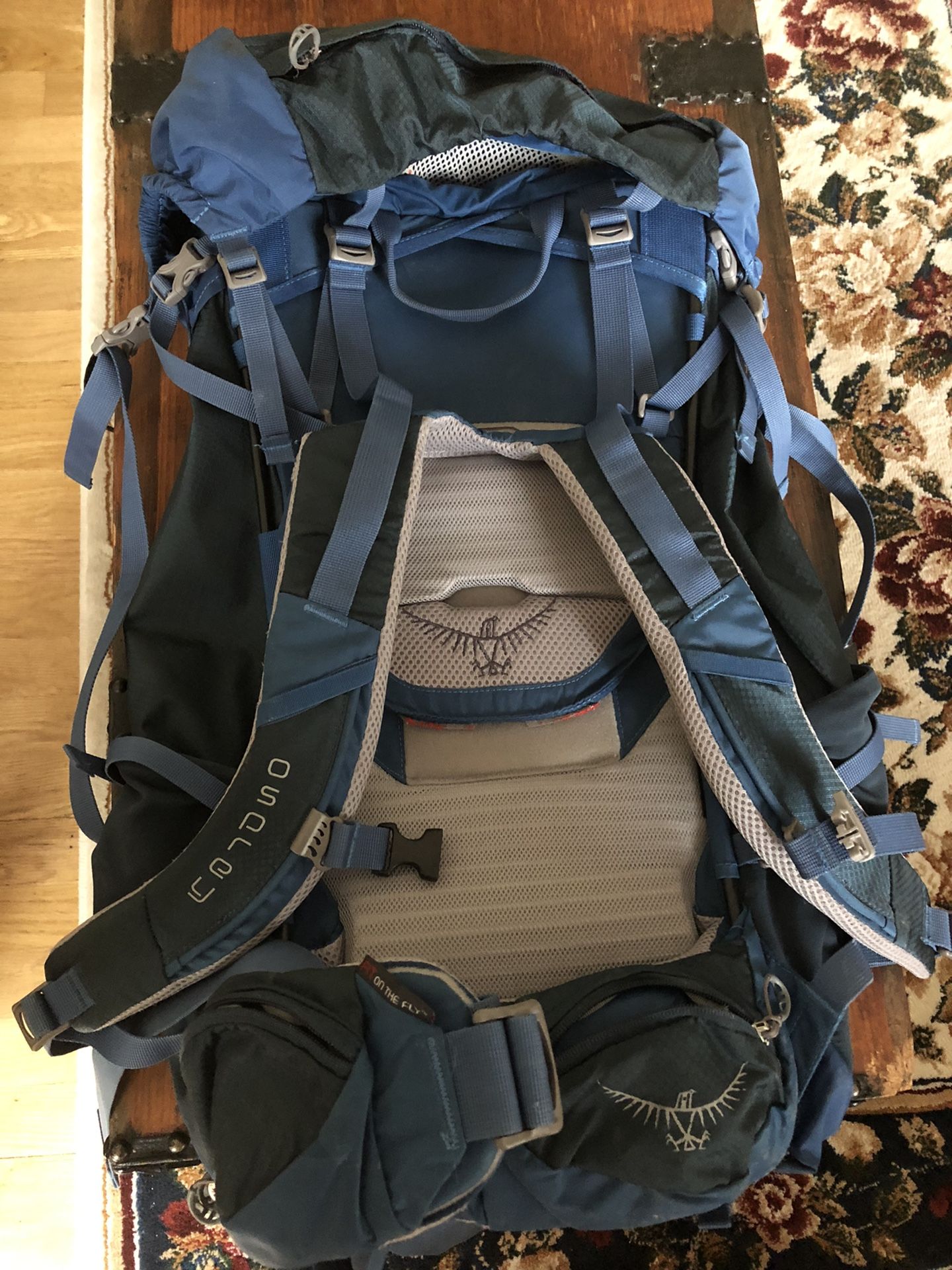 Osprey Youth Backpacking Pack
