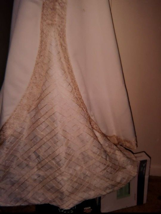 Gorgeous Beige And Gold Wedding Dress