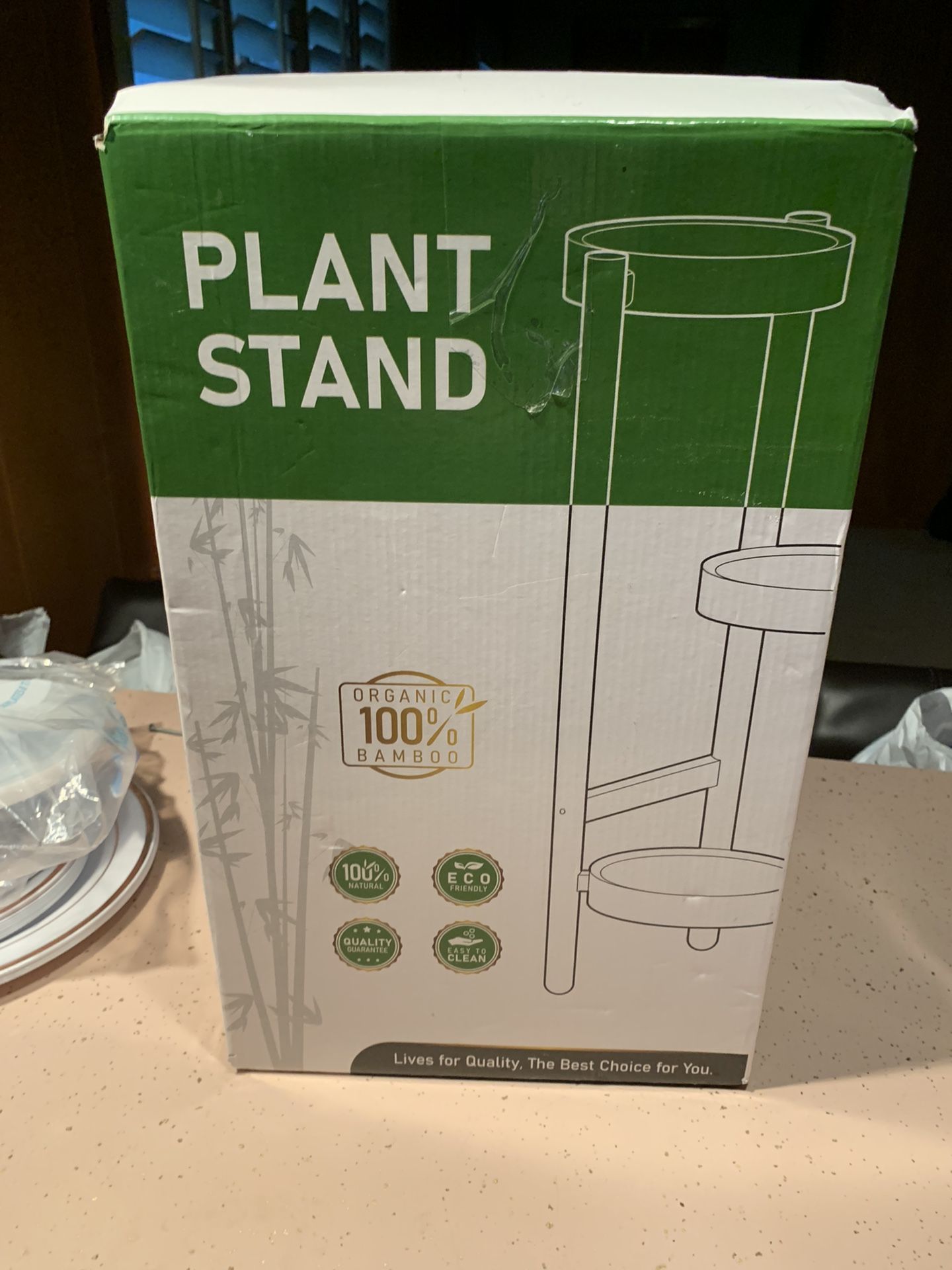New Bamboo Plant Stand