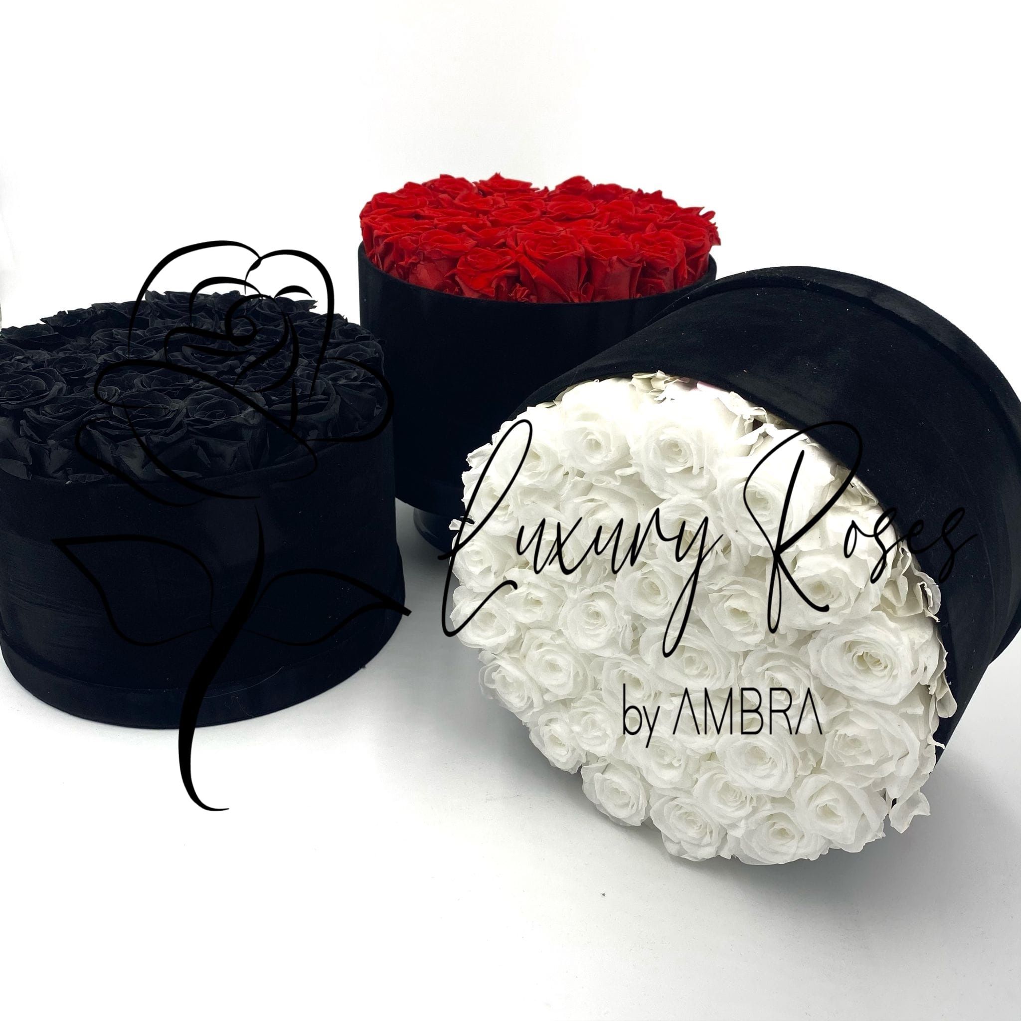 black Eternal velvet box roses real preserved roses flowers immortal roses anniversary birthday immortal lasting Velvet Box Present