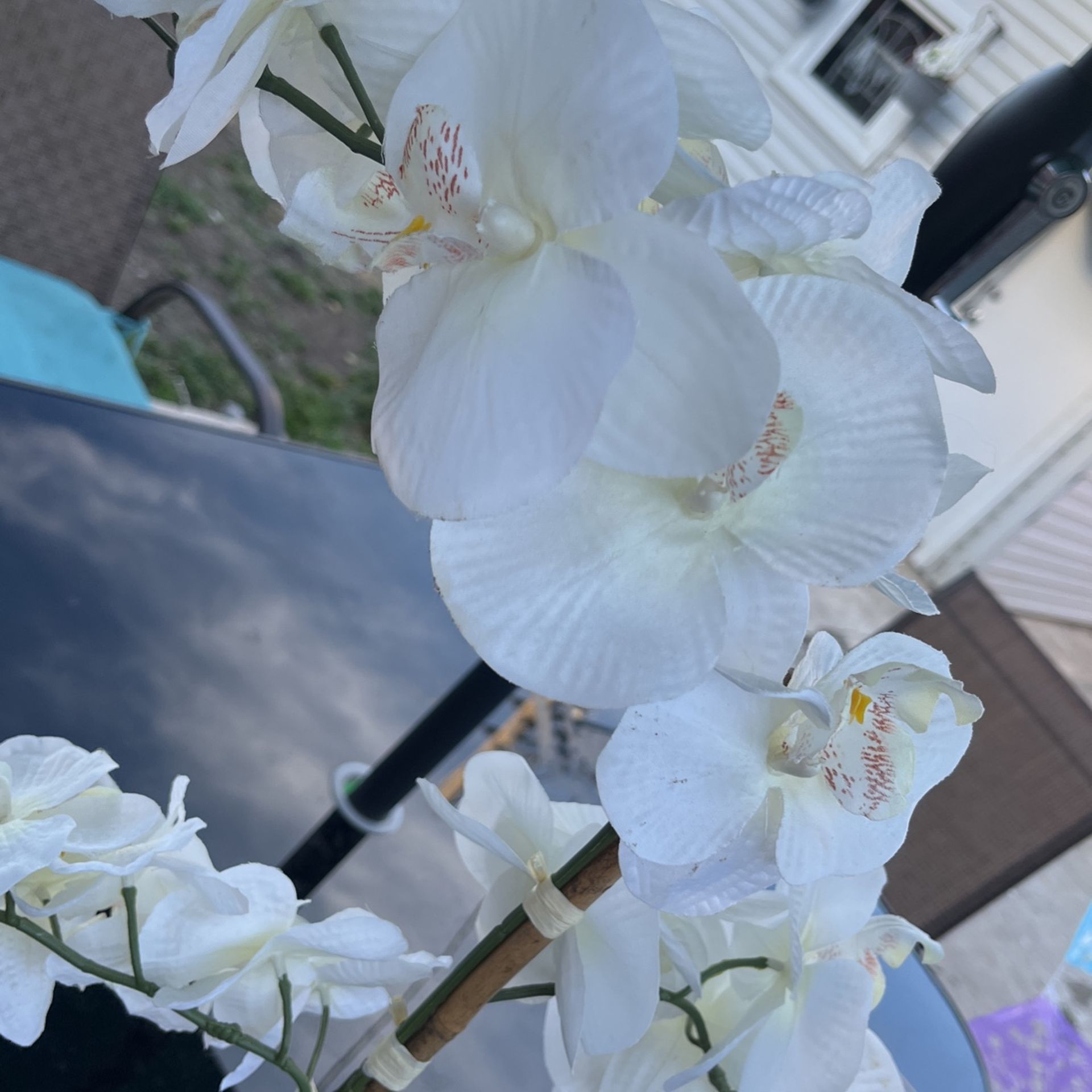 Decoration Flowers