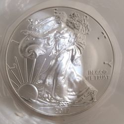 8 Uncirculated 2017 Silver Eagle. In Airtight Containter Mint Condition Thumbnail